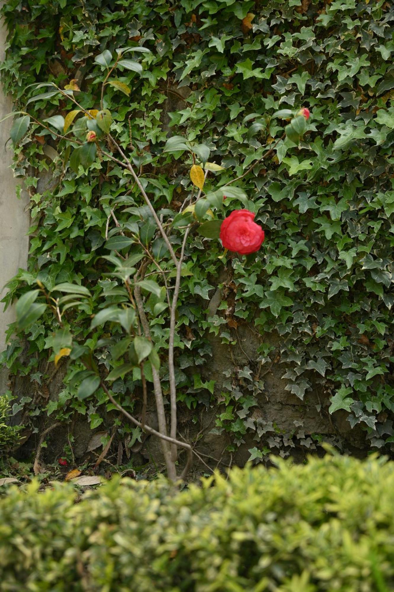 Kabana De Nature Rajgarh  Exterior photo